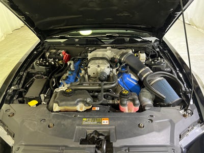 2013 Ford Shelby GT500 Shelby GT500