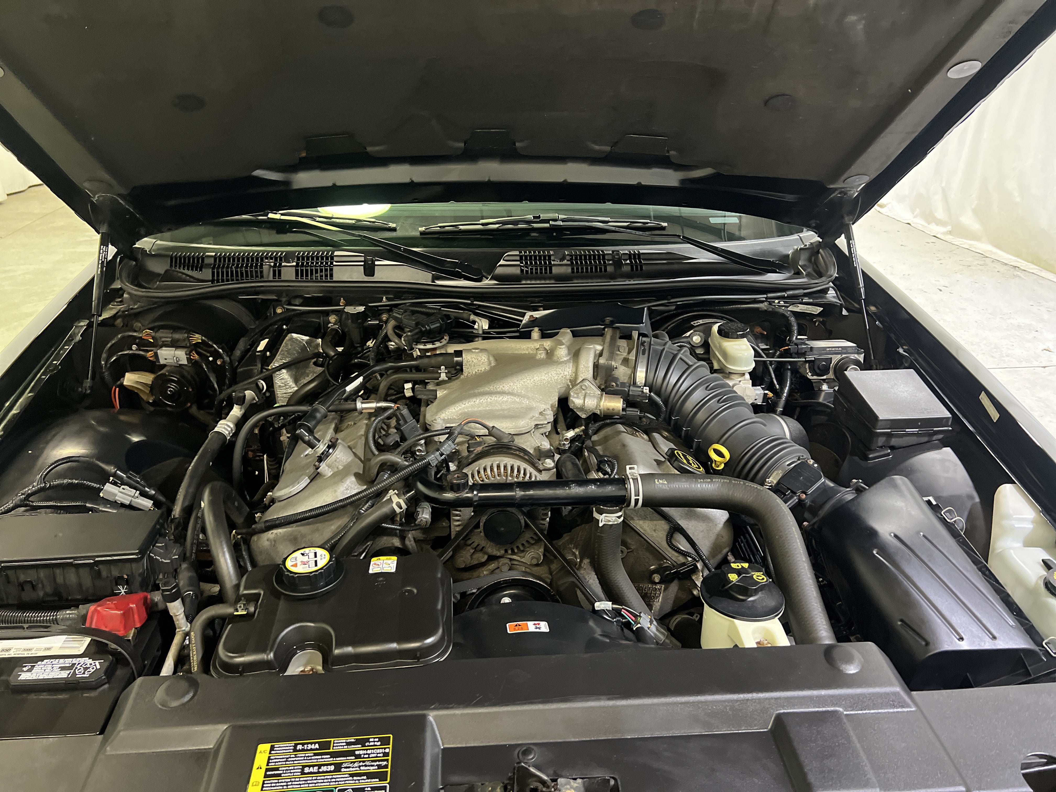 2004 Mercury Marauder Base