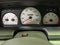2004 Mercury Marauder Base